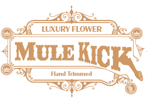 MuleKick Gold Logo