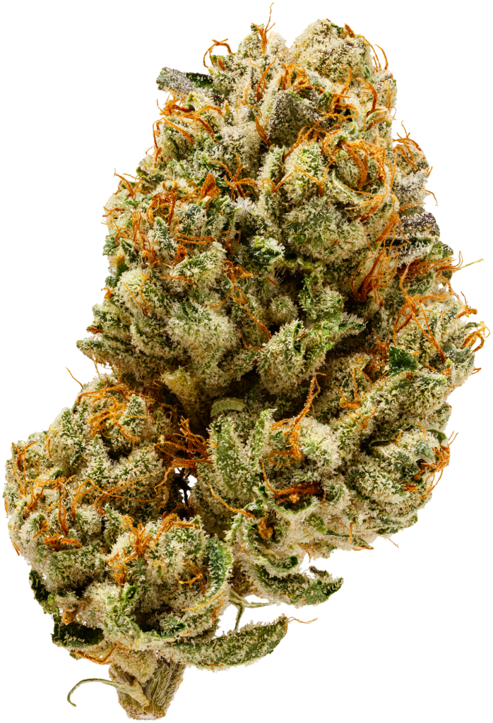 BuddieRyan Bud Silo
