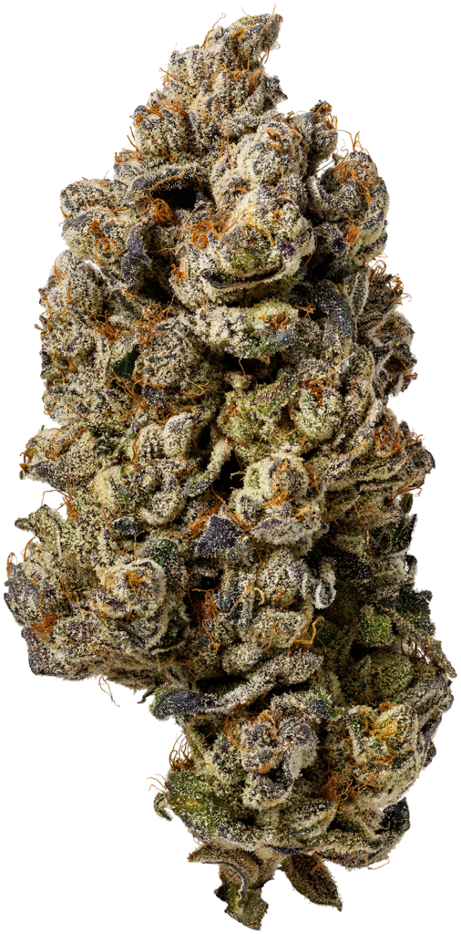 KushPush Bud Silo