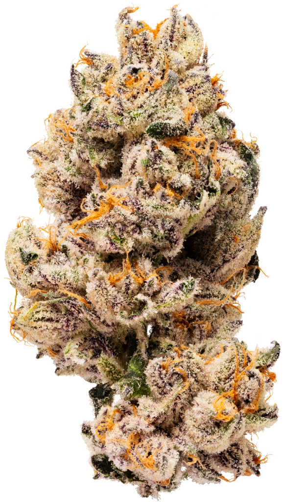 Purp30 Bud Silo Final